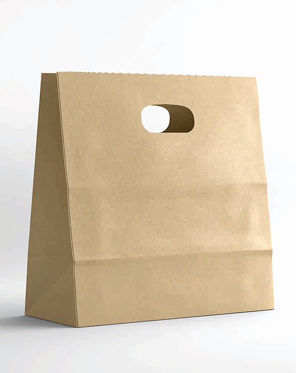 Brown kraft die cut handle paper bag