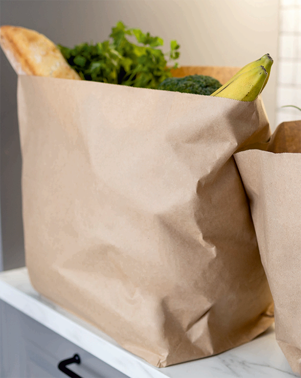 Kraft paper grocery bag without handles